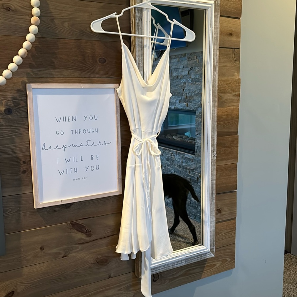 She + Sky Ivory Dress Large